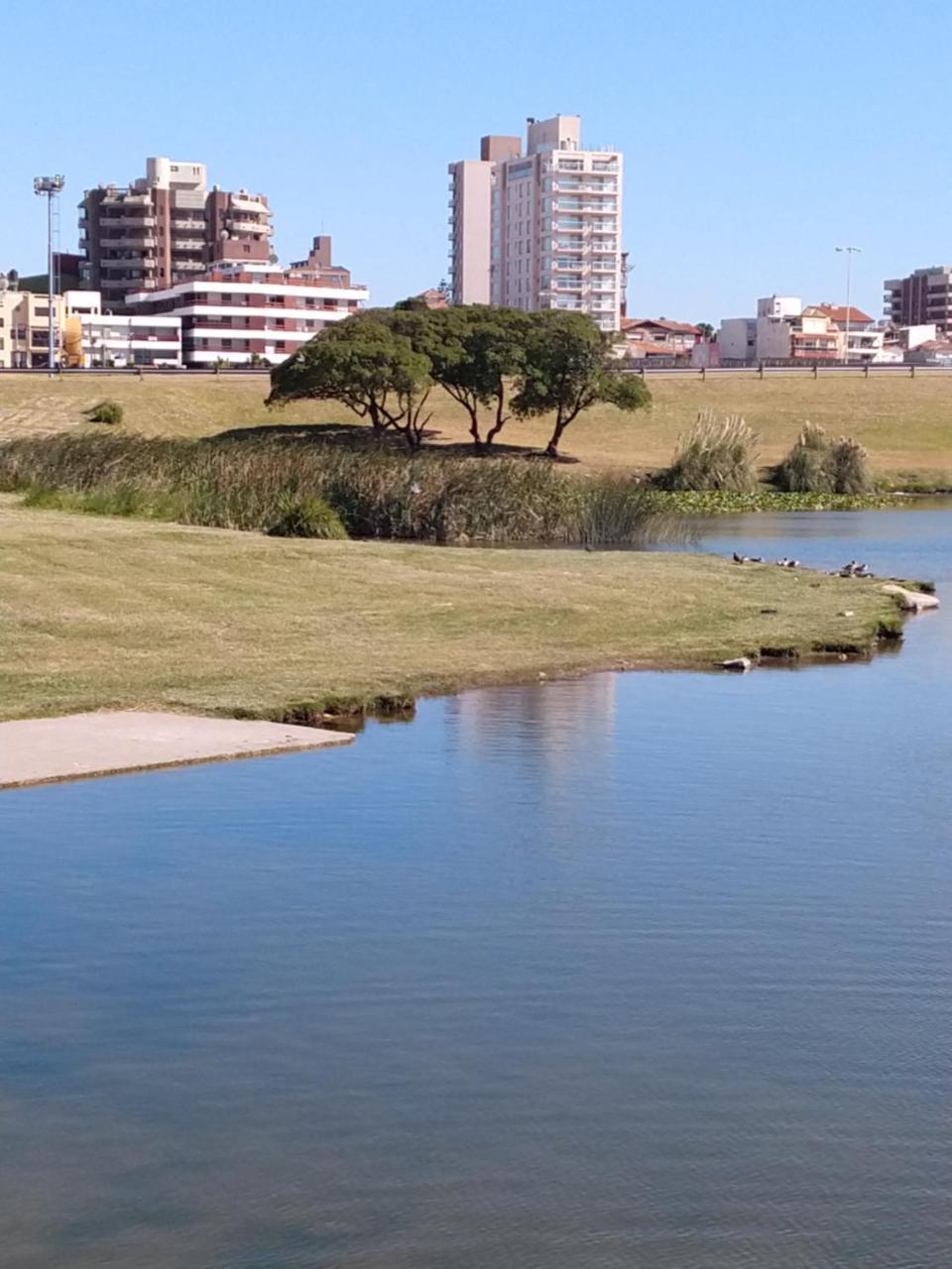 Edificio Juana Del Mar Apartment มาร์เดลปลาตา ภายนอก รูปภาพ